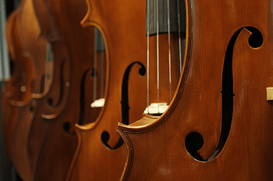 double bass