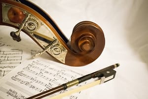 Pen 